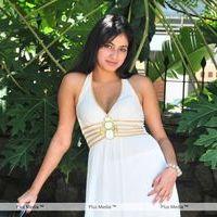 Haripriya New Photo Shoot - Pictures | Picture 115678